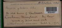 Image Associated With the Occurence